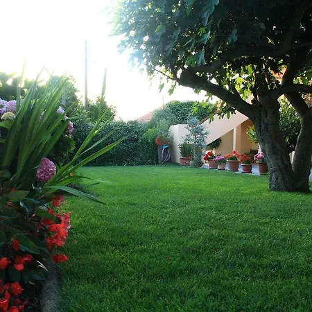 Apartment Mrdelja *